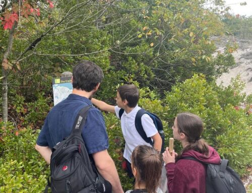 Students Enjoy the Beauty of the North Shore